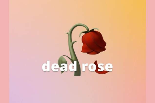 dead-rose-emoji-slang-meaning-merriam-webster